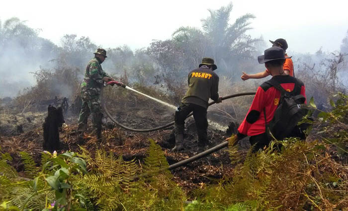 Penyidik Kebakaran Hutan Disandera Perusahaan Kelapa Sawit Disorot Dunia